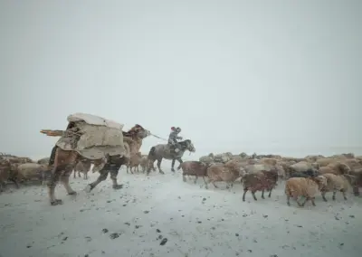An eagle hunter is migrating with his animals in the Altai mountains during a brutal snowstorm. Migration of the Eagle Hunters.
