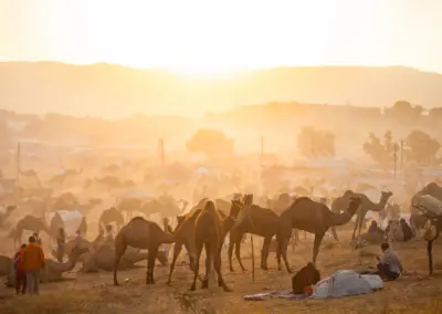 Sunrise at Pushkar Mela, Rajasthan